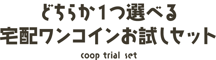 三井生協のどちらか１つ選べる宅配ワンコインお試しセット(coop trial set)