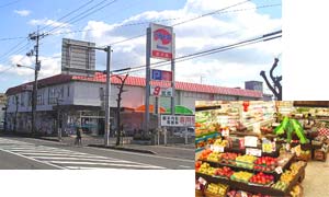 田井店