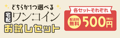 ワンコイン