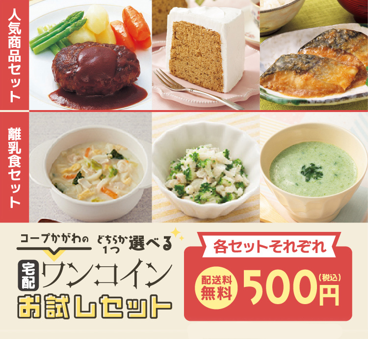 三井生協の宅配ワンコインお試しセット